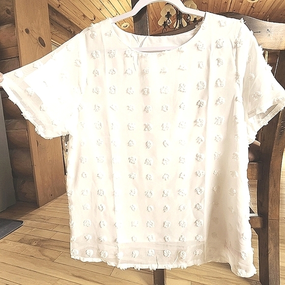 Beautiful Ivory Layered Sheer Textured Polka-dot Short Sleeve Blouse - Picture 10 of 10